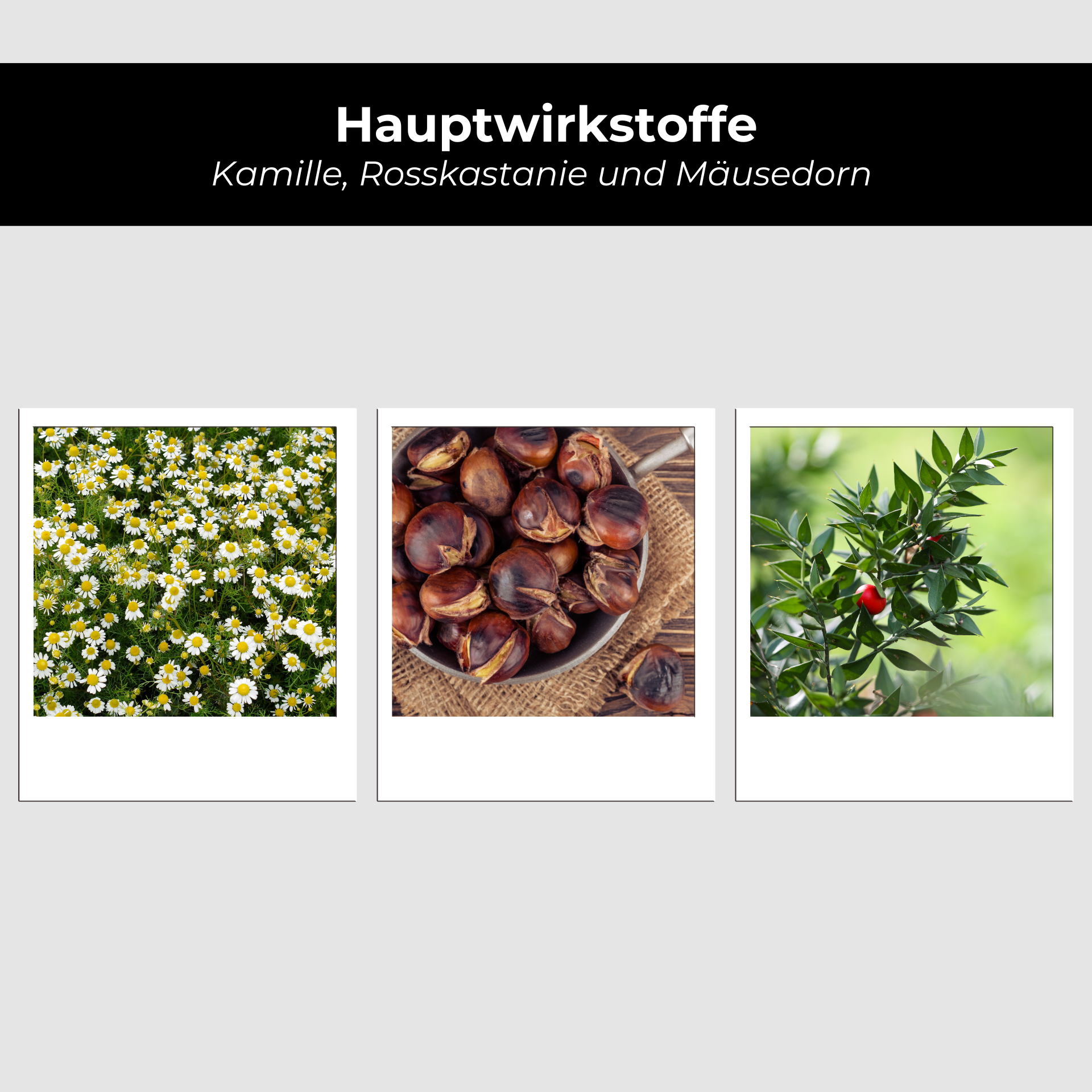 Herbal, Plant, Nut, Produce, Vegetable