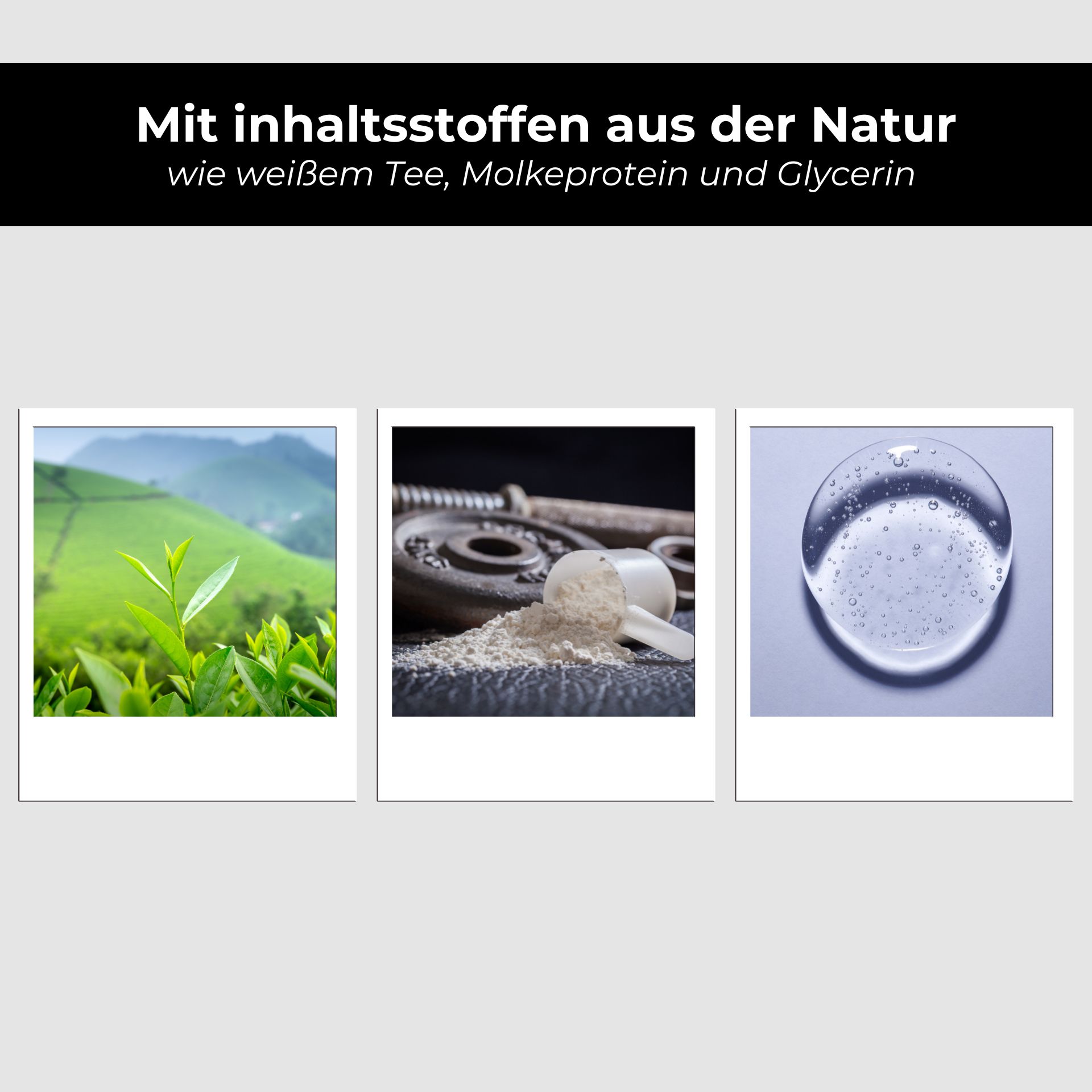Herbal, Leaf, Soil, Vegetation, Collage