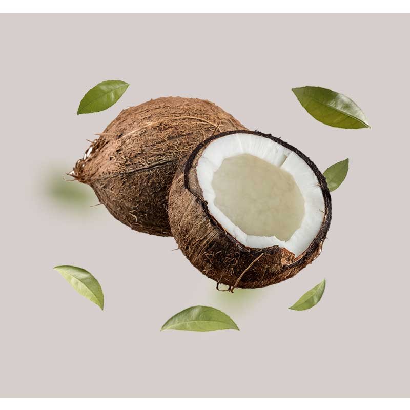 Kokosnüsse mit frischem, weißem Fruchtfleisch und grünen Blättern, symbolisierend die feuchtigkeitsspendenden Eigenschaften der White Tea Bodylotion für trockene Haut.