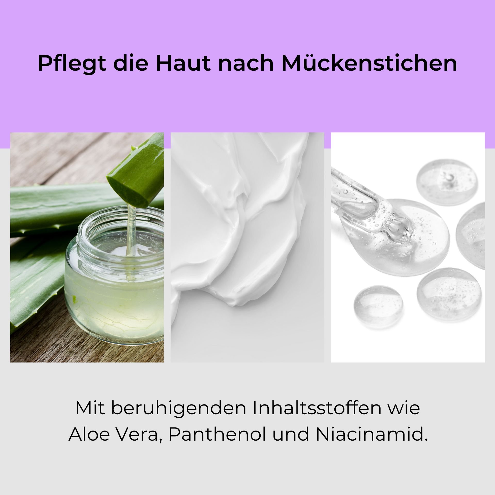 Skin care after mosquito bites with aloe vera, panthenol, and niacinamide, represented by fresh aloe vera leaves, a cream, and transparent gel capsules.