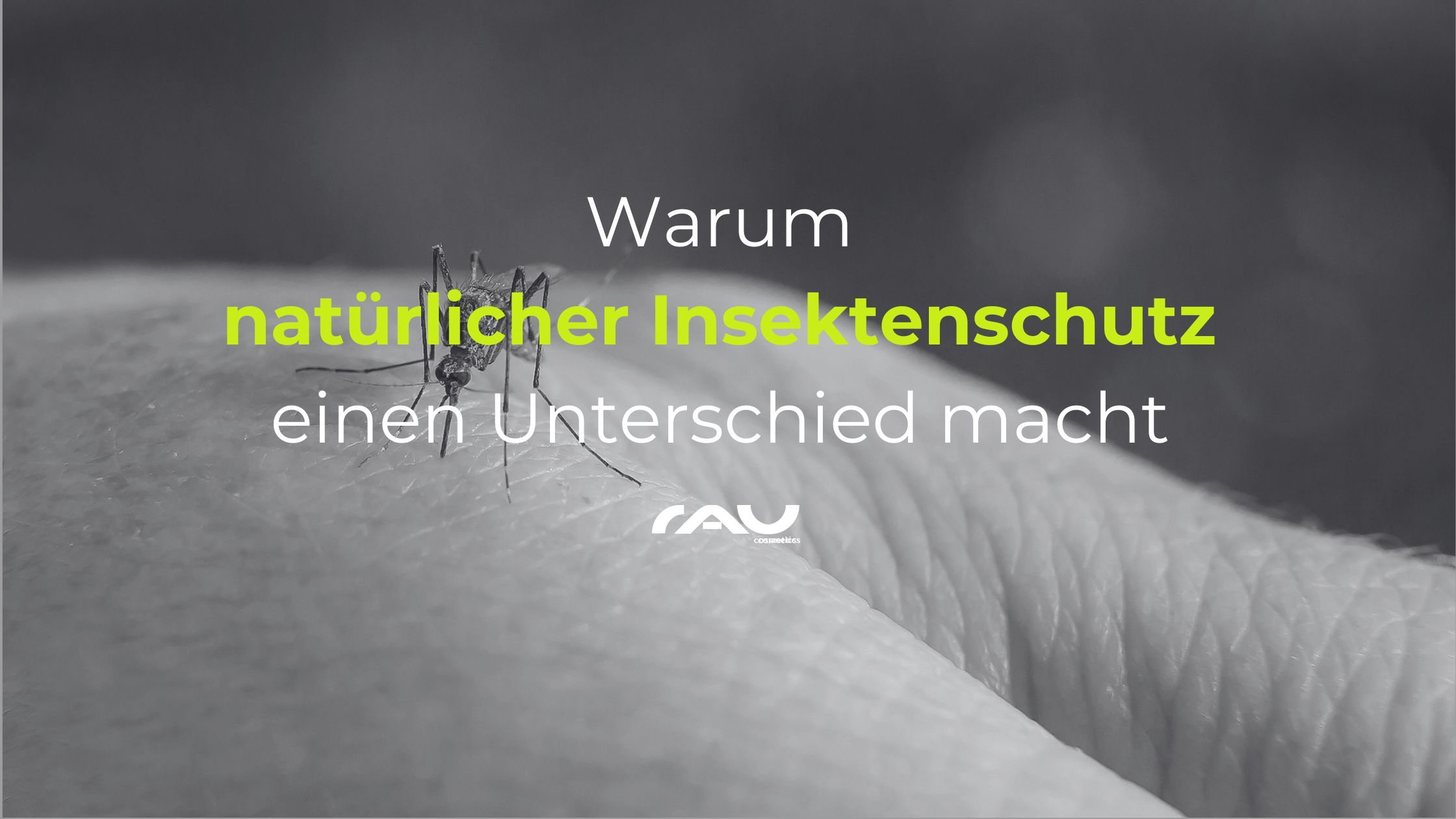 RAU_Warum naturlicher Insektenschutz einen Unterschied macht Animal, Insect, Invertebrate, Mosquito