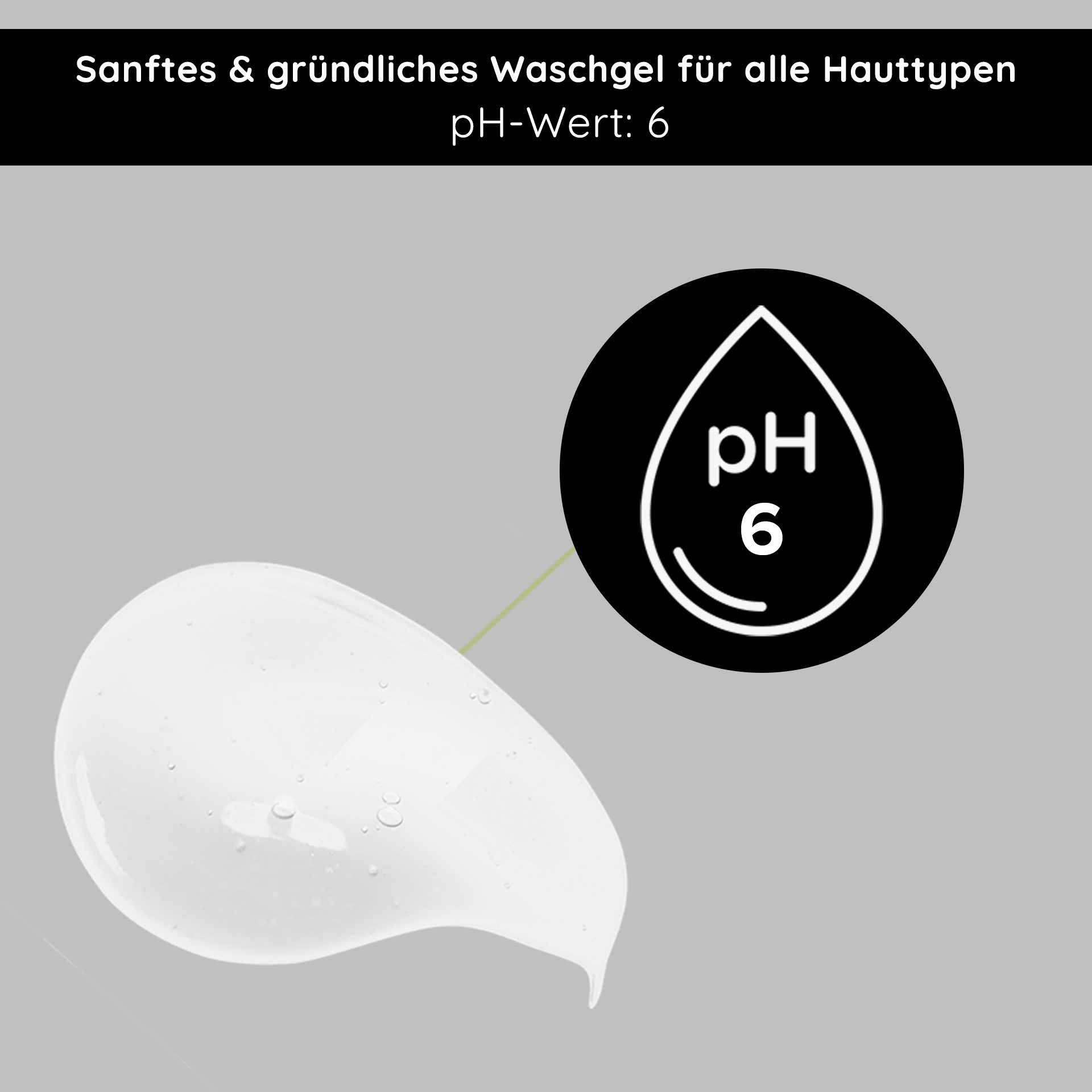 Sanftes, gründliches Waschgel für alle Hauttypen mit pH-Wert 6, präsentiert für RAU Cosmetics Silver Facial Washgel.