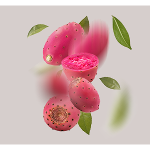 Kaktusfeige_Wirkstoff Kaktusfeige mit geschnittenem Fruchtteil und grünen Blättern, symbolisiert die feuchtigkeitsspendenden Eigenschaften des Triple Hyaluronic Serums von RAU Cosmetics.