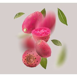 Kaktusfeige mit geschnittenem Fruchtteil und grünen Blättern, symbolisiert die feuchtigkeitsspendenden Eigenschaften des Triple Hyaluronic Serums von RAU Cosmetics.