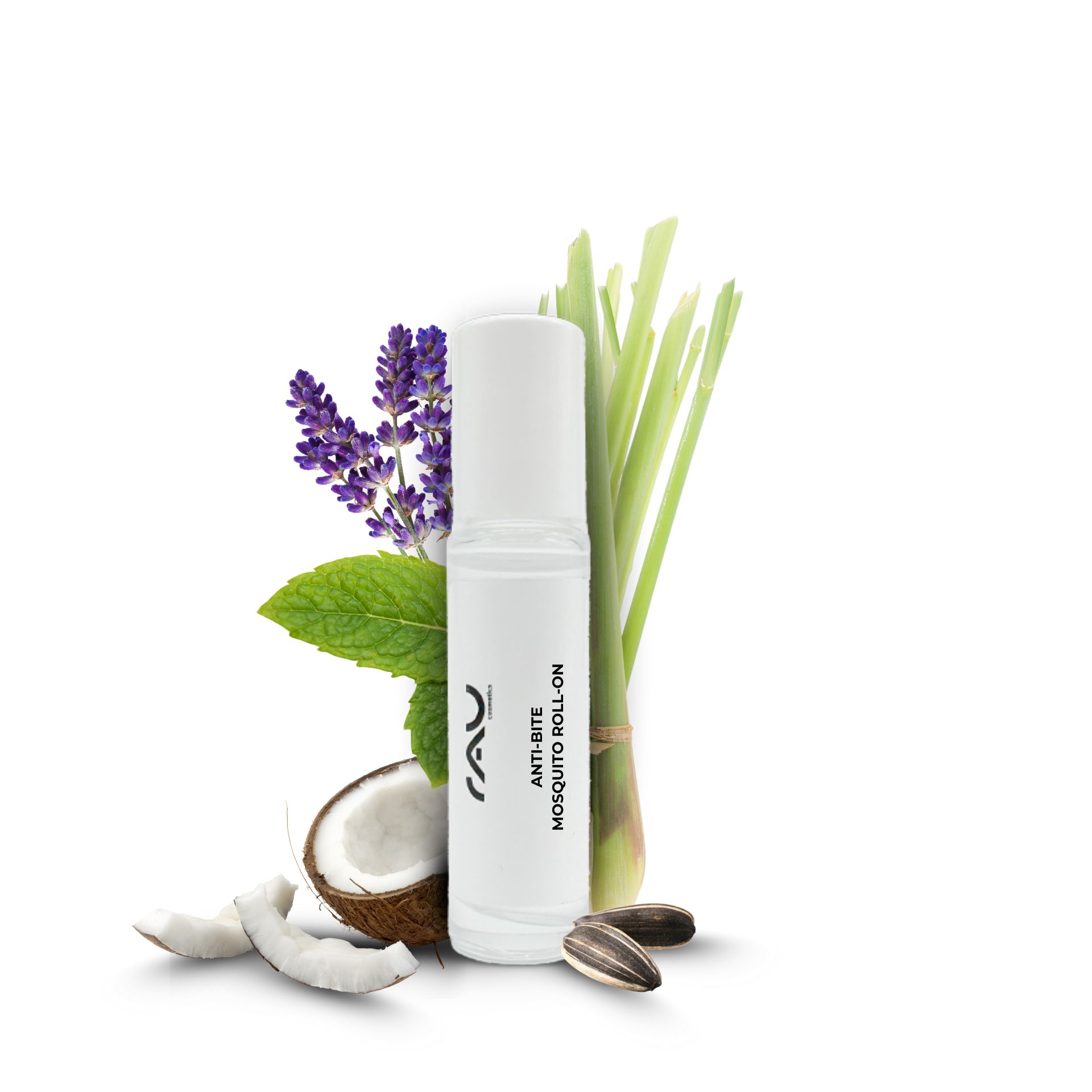 Herbal, Herbs, Plant, Flower