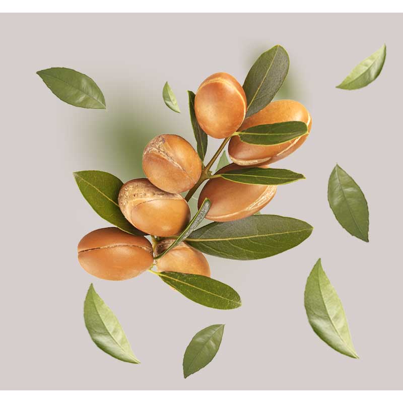 argan-01 Kunstvoll arrangierte Argan-Nüsse und -Blätter heben die natürlichen Inhaltsstoffe für die Hautpflege in der Beyond Moisturizing 24h Cream von RAU Cosmetics hervor.
