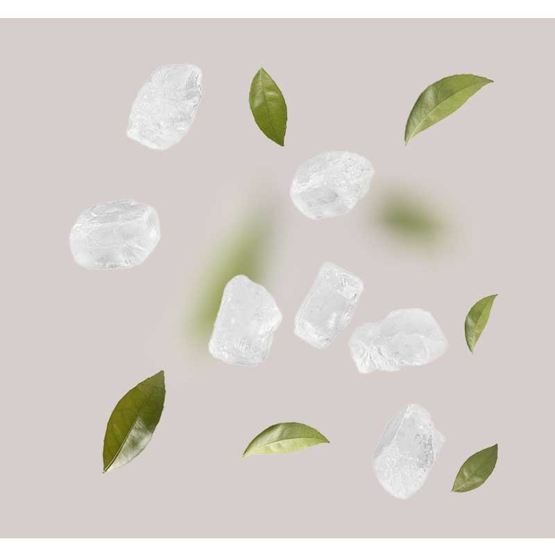 Meersalz und grüne Blätter auf neutralem Hintergrund, symbolisierend die beruhigenden und feuchtigkeitsspendenden Eigenschaften der RAU Cosmetics Sea Salt Calming Cream.