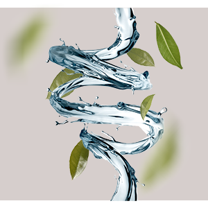 Hyaluronsäure_Wirkstoff Wassertropfen und grüne Blätter, symbolisierend die feuchtigkeitsspendenden und regenerierenden Eigenschaften des RAU Cosmetics Niacinamide & Astaxanthin Serums.