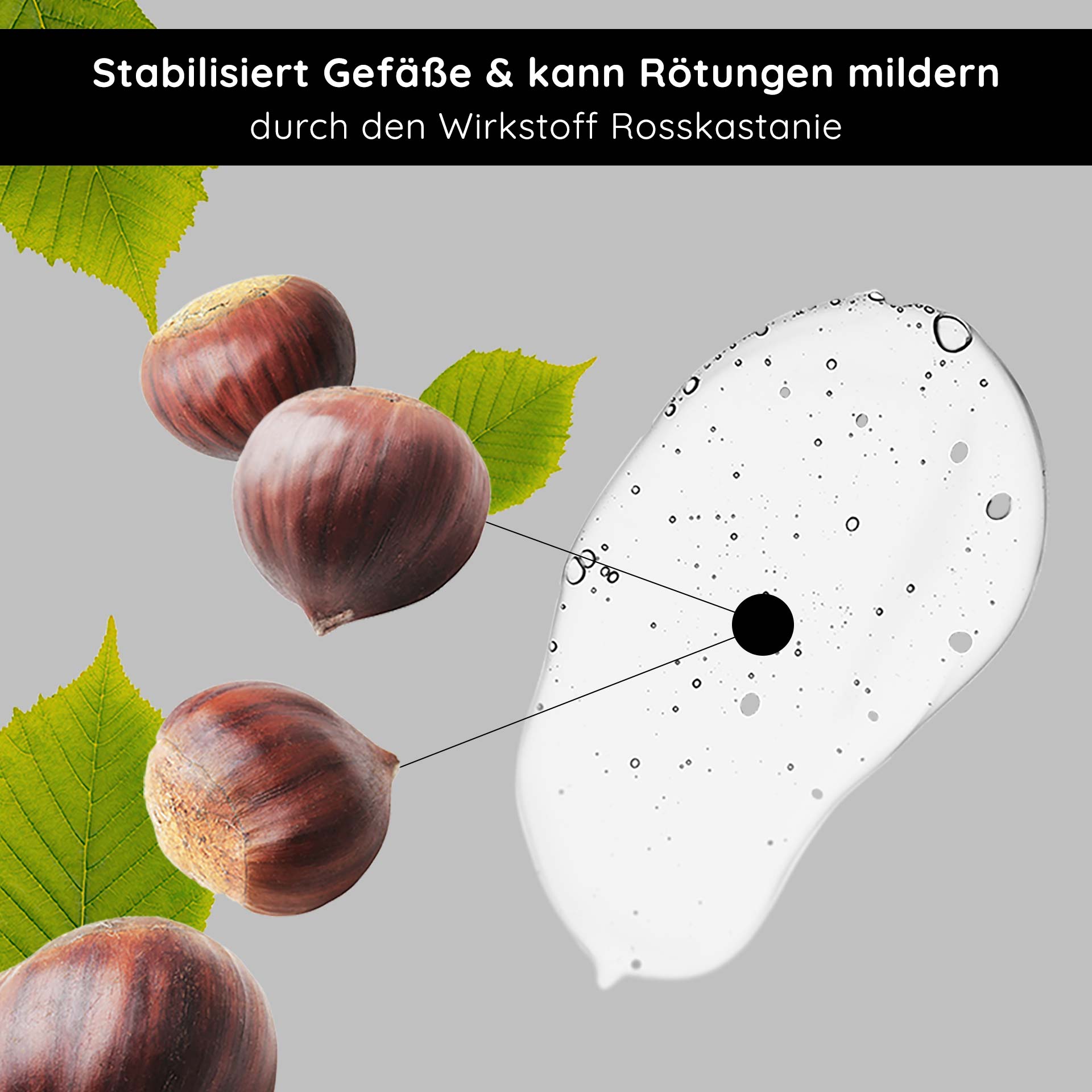Anti Redness Couperose Serum 200 ml for Rosacea Anti-Redness Couperose Serum mit Rosskastanienextrakt, stabilisiert die Gefäße und reduziert Rötungen, mit sichtbaren Kastanien und grünen Blättern vor neutralem Hintergrund.