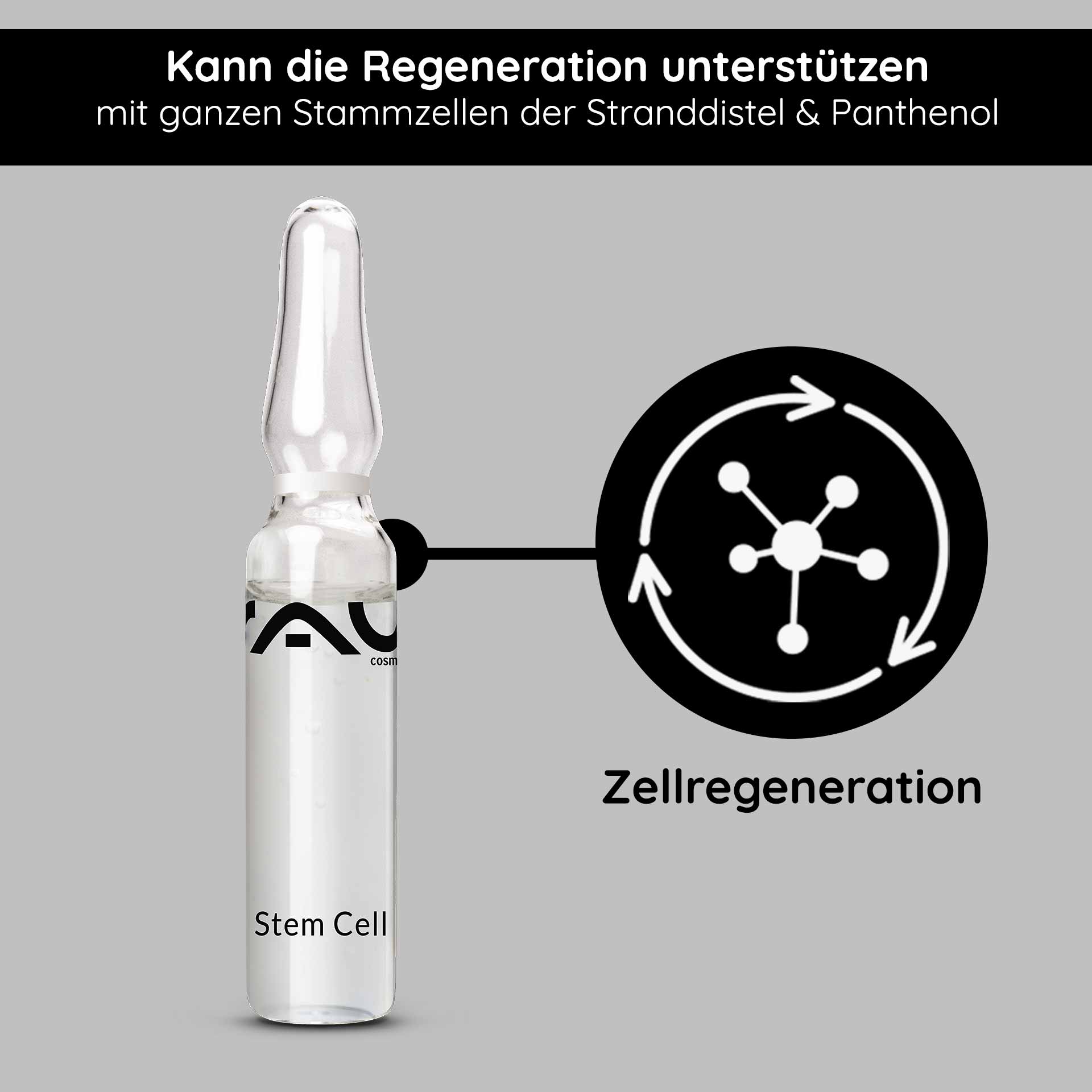 Ampollas de células madre 10x2 ml Antienvejecimiento para pieles maduras Ampulle mit RAU Stem Cell Serum, transparent, beschriftet mit "Stem Cell", unterstützt Zellregeneration, enthält ganze Stammzellen der Stranddistel und Panthenol, auf grauem Hintergrund.