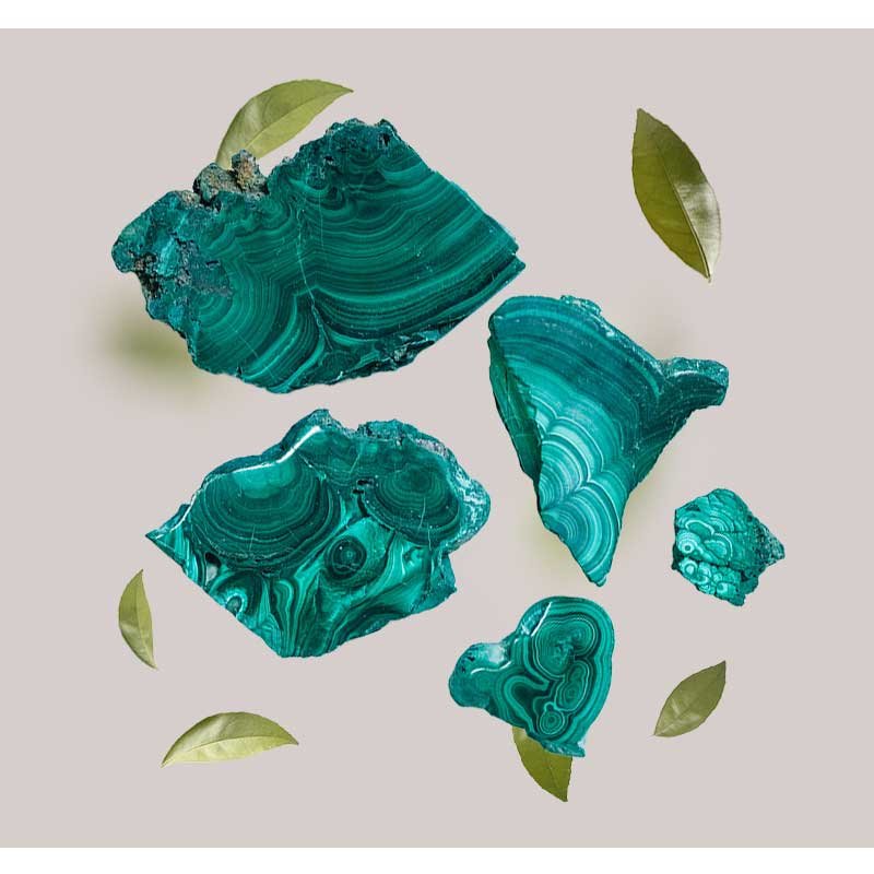 Malachitsteine in verschiedenen Formen und Größen, umgeben von grünen Blättern, symbolisieren die natürlichen Inhaltsstoffe der RAU Mattifying Ampullen für eine mattierende und porenverfeinernde Wirkung.