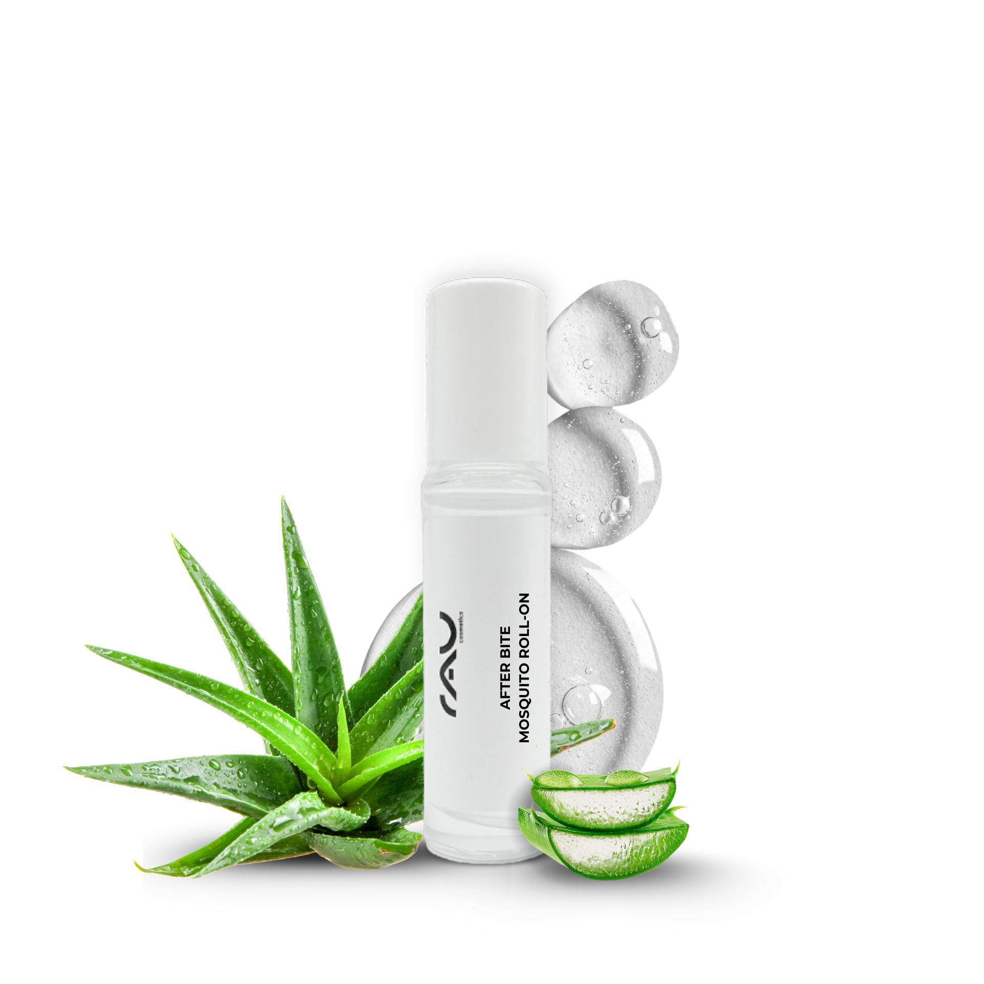 Herbal, Herbs, Plant, Aloe, Herbal, Herbs, Plant, Aloe