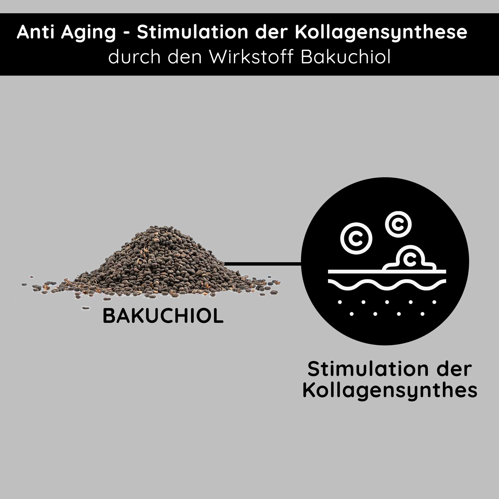 Resist aging! Rich Cream with Bakuchiol 50 ml Night Cream Bakuchiol-Pulver für Anti-Aging, stimuliert die Kollagensynthese, mit Text „Anti Aging – Stimulation der Kollagensynthese durch den Wirkstoff Bakuchiol.“