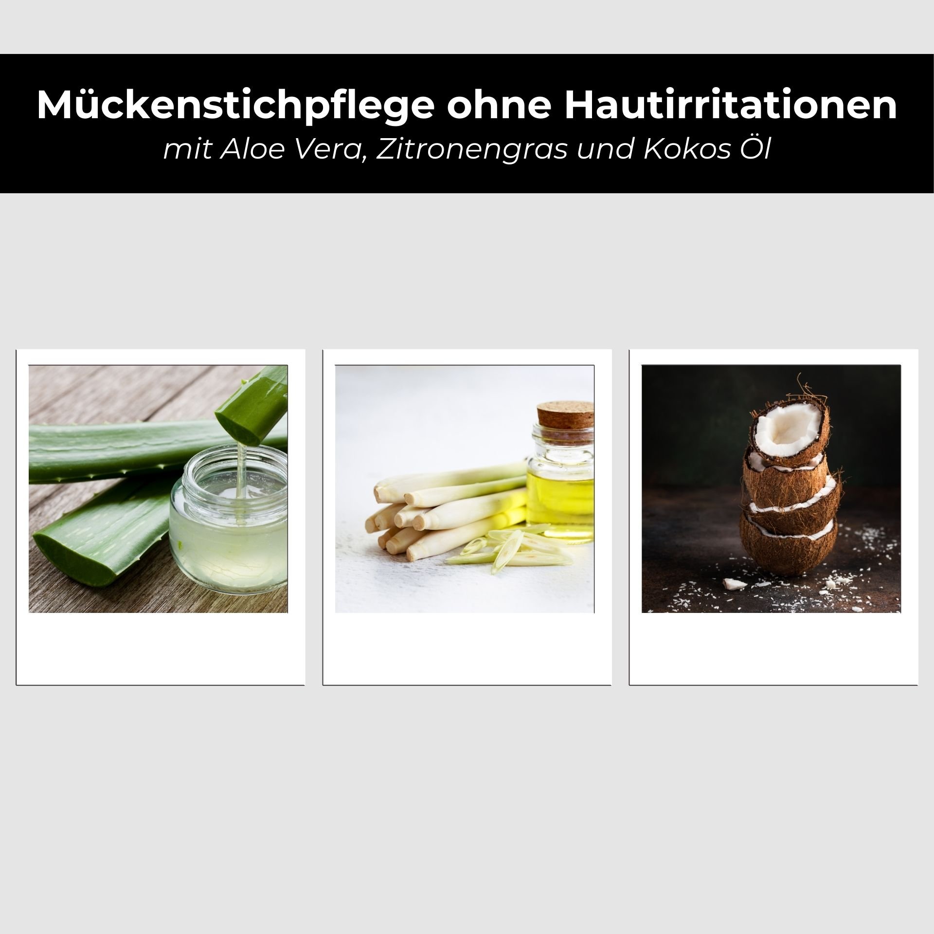 Food, Fruit, Plant, Produce