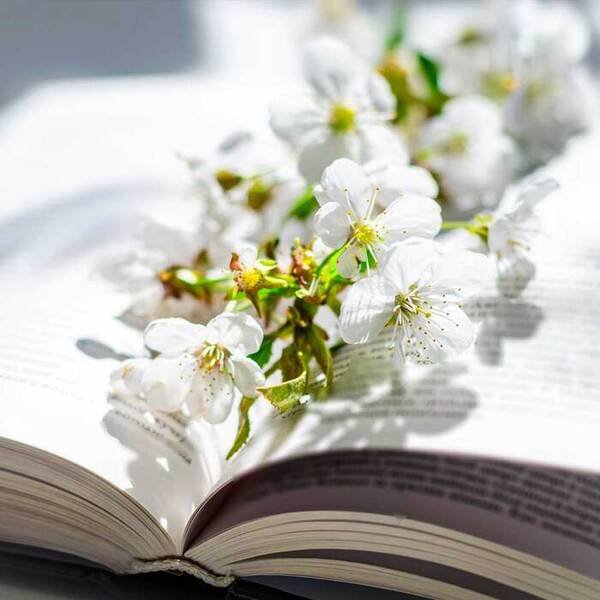 Offenes Buch mit weißen Blüten, beleuchtet, präsentiert RAU Cosmetics Hautpflegeprodukte.