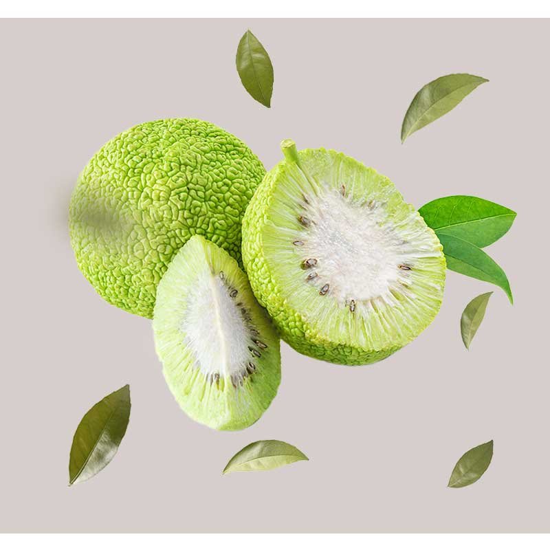 Hälften und ganze Früchte der Maclura Cochinchinensis, umgeben von grünen Blättern, stellen den Hauptbestandteil des RAU Silver Facial Washgel für eine sanfte und feuchtigkeitsspendende Hautreinigung dar.