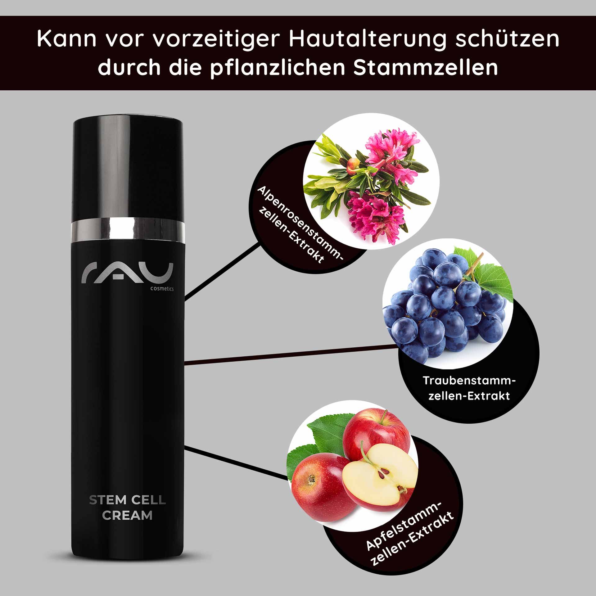 Bottle of RAU Cosmetics Stem Cell Cream with text highlighting the benefits of plant stem cell extracts, including apple, grape, and alpine rose stem cells, for anti-aging skincare.