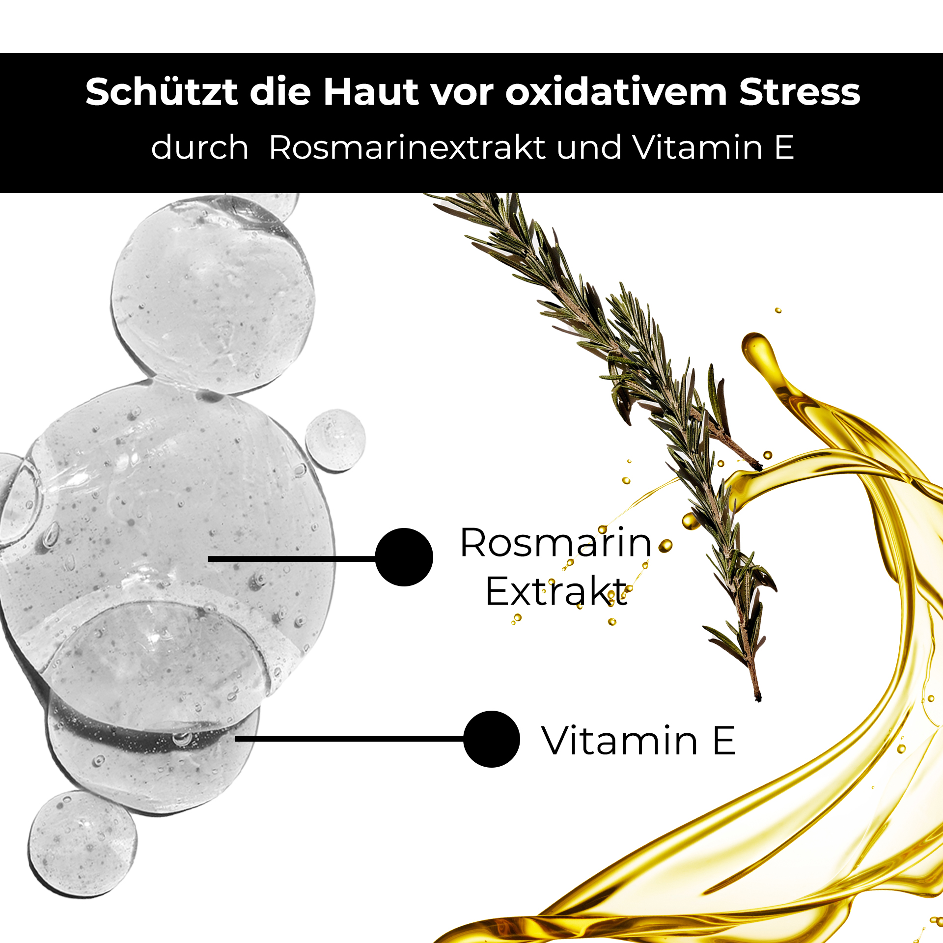 Herbal, Herbs, Plant