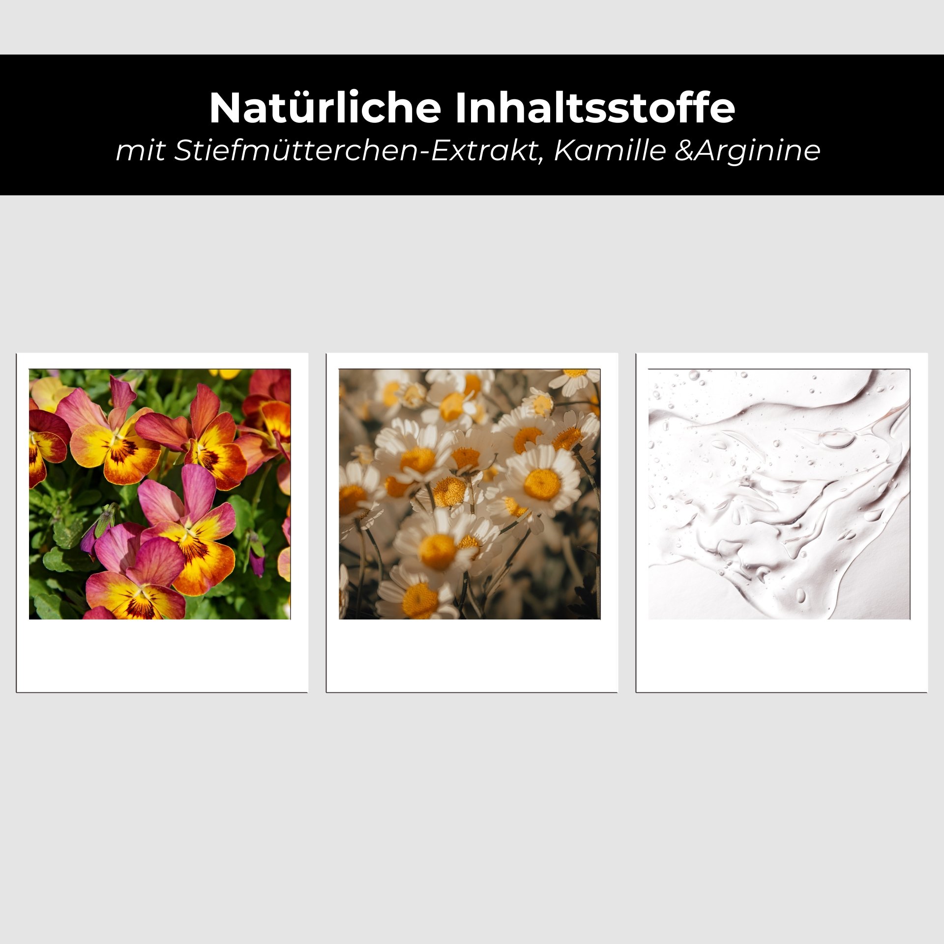 Collage de varios pétalos de flores y anémonas que representan los ingredientes vegetales del Purifying Tonic.