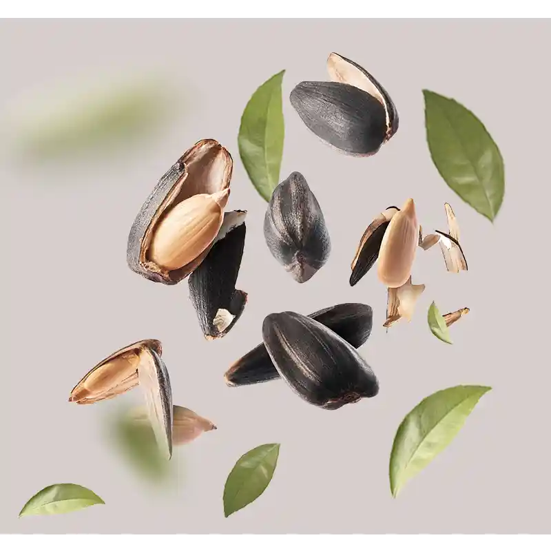 Sonnenblumenöl Sonnenblumenkerne und Blätter auf hellem Hintergrund, symbolisieren natürliche Inhaltsstoffe für die Aloe Vera Sensitive Gesichtsreiniger von RAU Cosmetics.