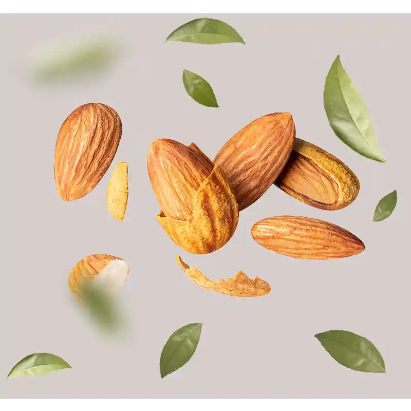 MandelÖl Mandelöl und Mandelkerne auf grauem Hintergrund, umgeben von grünen Blättern, symbolisieren die natürlichen Inhaltsstoffe des Aloe Vera Sensitive Face Cleansers von RAU Cosmetics.