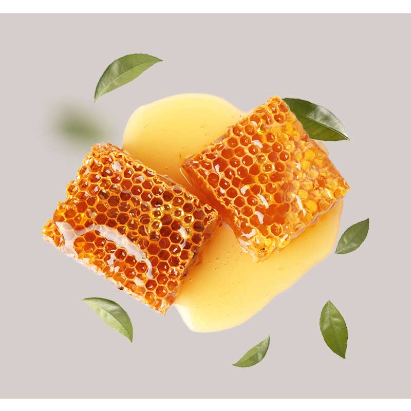 honig Honigwaben und flüssiger Honig mit grünen Blättern, symbolisieren die feuchtigkeitsspendenden und regenerierenden Eigenschaften der Rich Honey Eye Cream von RAU Cosmetics.